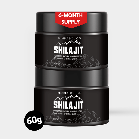 2x Himalaya Shilajit: 60gr | 6 Monate Vorrat