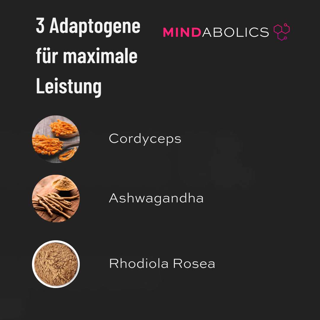 Adapto Creatin + Shilajit - Mindabolics - 