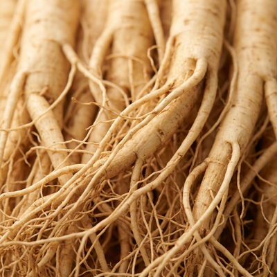 Ginseng