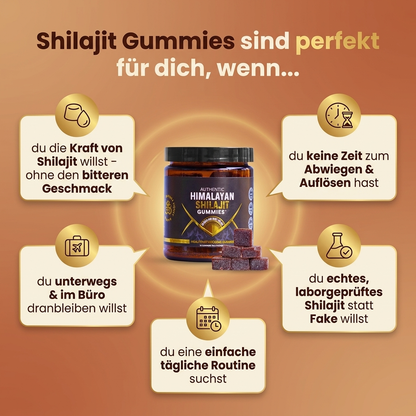 Mindabolics Shilajit Gummies