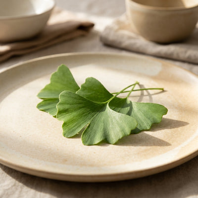 Ginkgo biloba