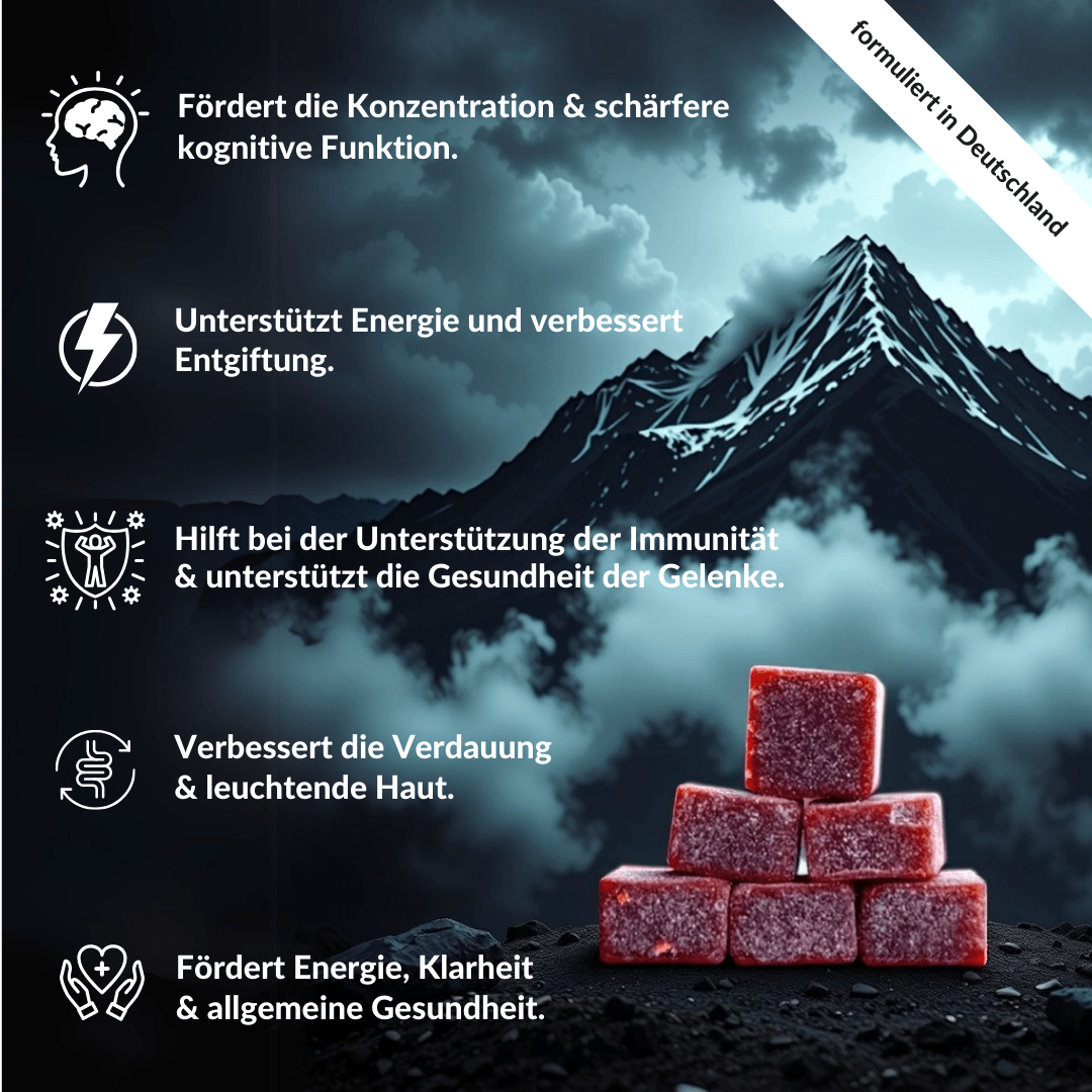 Mindabolics Shilajit Bundle - 2 für 1 DEAL - Mindabolics - 