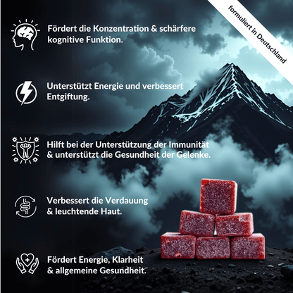 Mindabolics Shilajit Bundle - 2 für 1 DEAL - Mindabolics - 