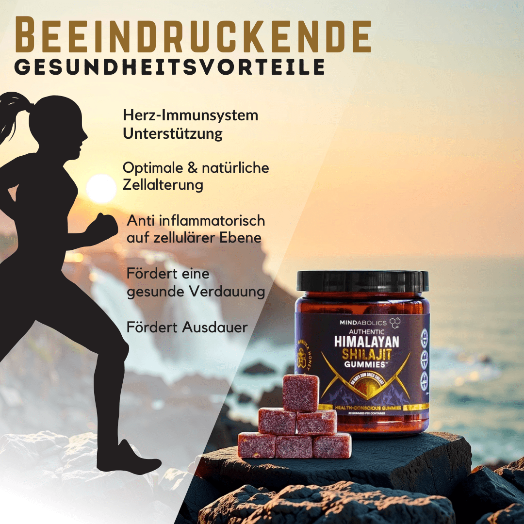 Mindabolics Shilajit Bundle - 2 für 1 DEAL - Mindabolics - 