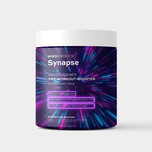 Synapse - Mindabolics - 